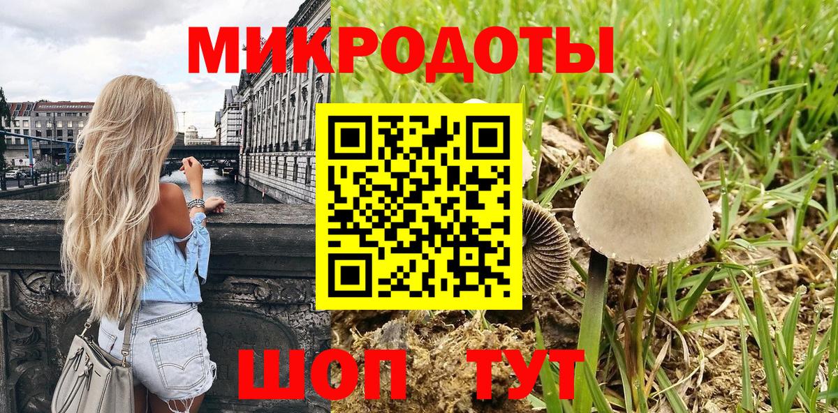 Галлюциногенные грибы Psilocybine cubensis Вязники