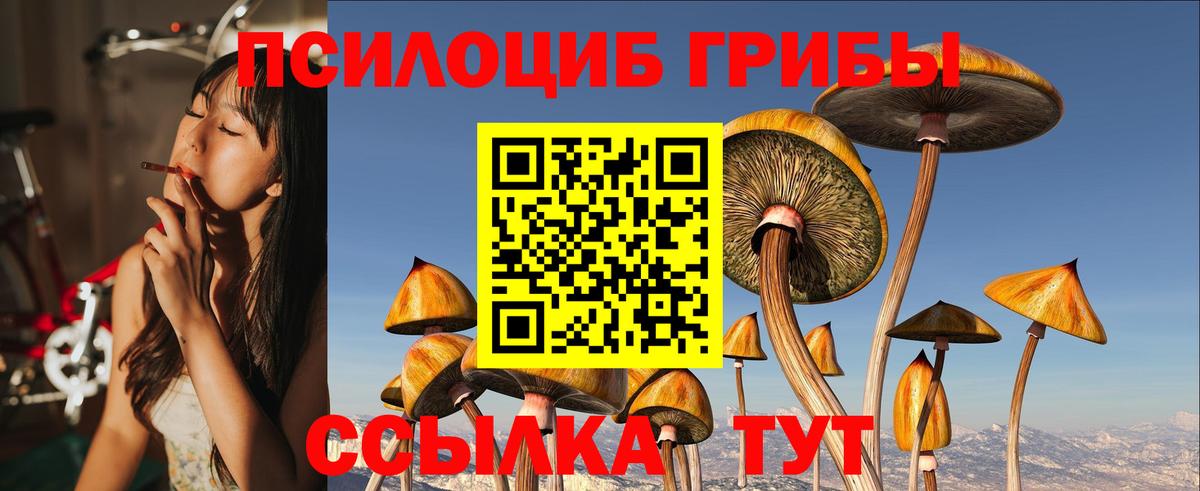 Галлюциногенные грибы мухоморы  Вход с VPN  Псилоцибиновые грибы MAGIC MUSHROOMS  Вязники 